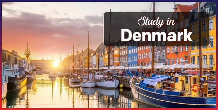 Study in Denmark